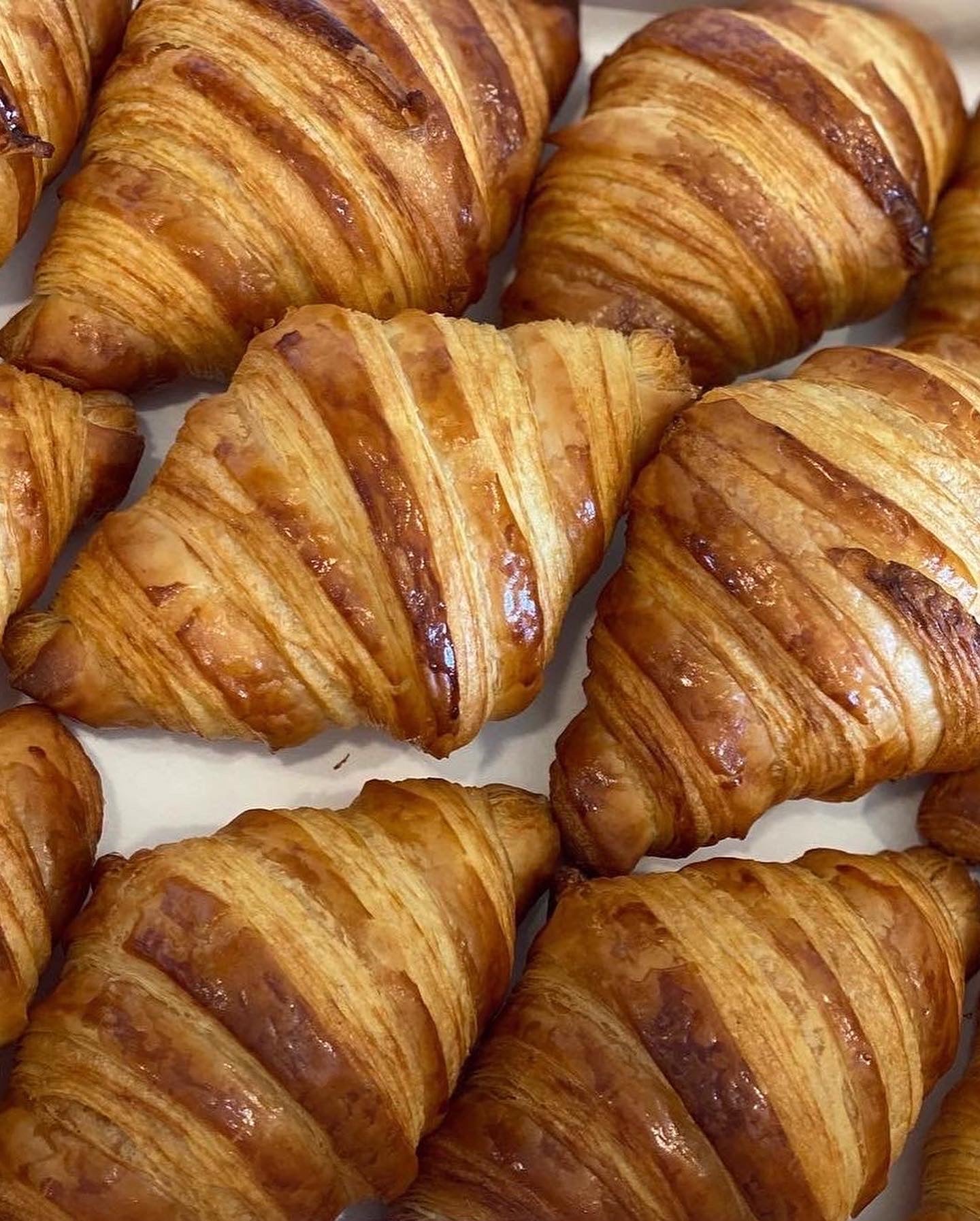 Pastries by the Dozen